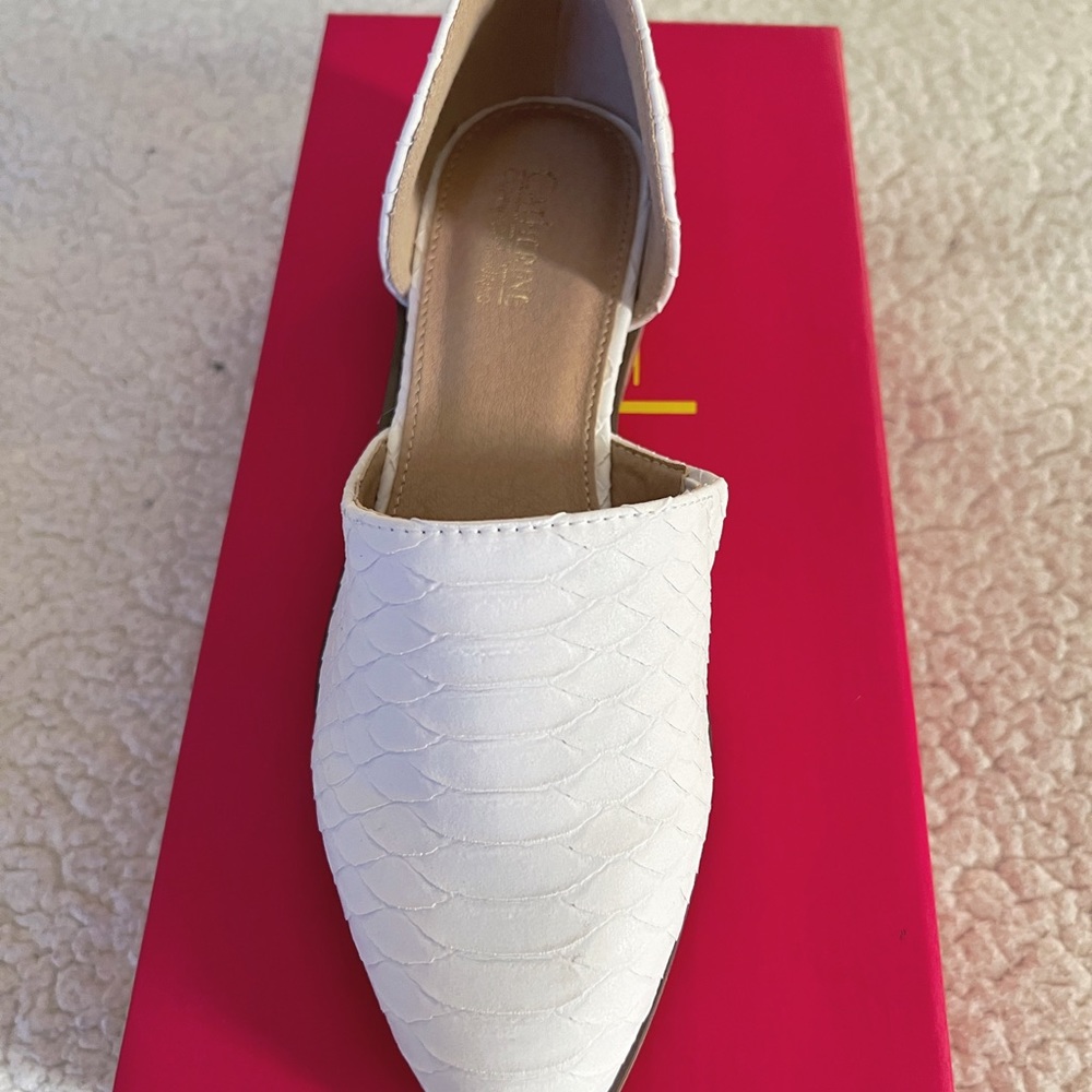 New Snake Print Flats